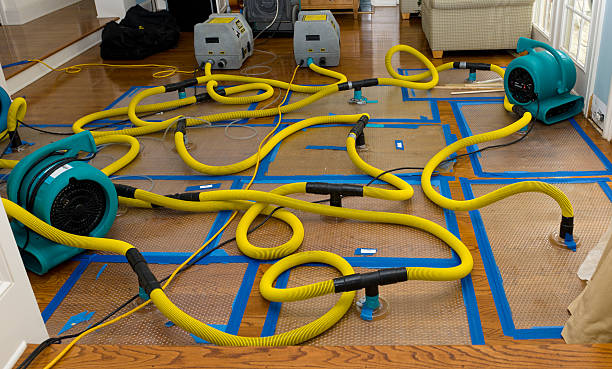 Professional Water Extraction technician working in Palms, MI